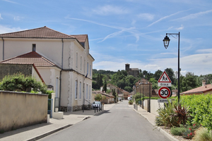 Enlèvement arbre urgence Mérignac